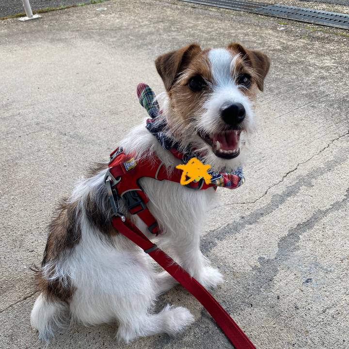 C5a192e9 8ad8 4e2a 85d9 a0a547ff73bf 1658010094171