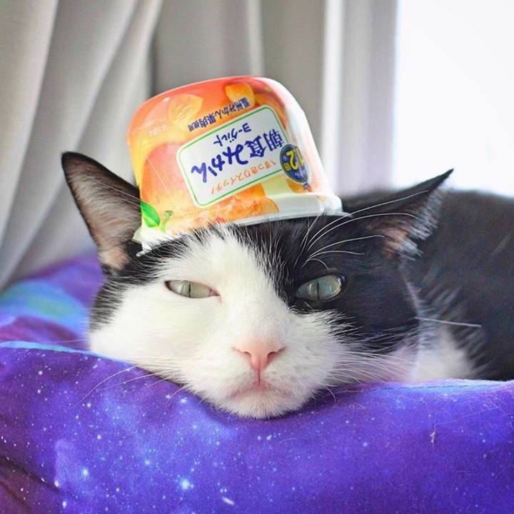 C5a1941e e3fe 46d5 8b1b c44c0617d743 1570191106667