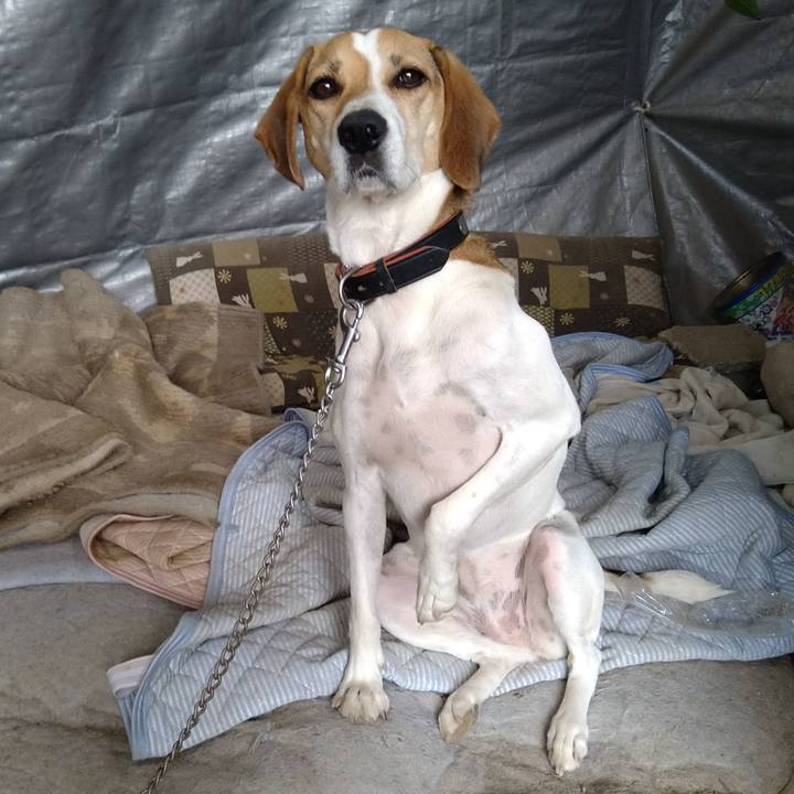 C5a19bc7 4421 4a36 a51a c0a30858b5f6 1644390047147