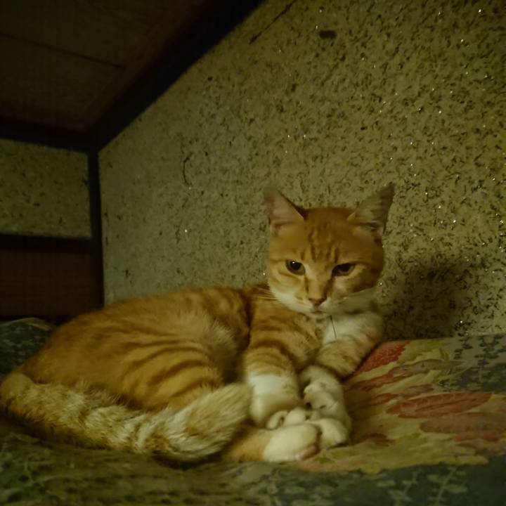 C5a1ee66 f153 49ce bb47 e4e3042f7db1 1595160842629