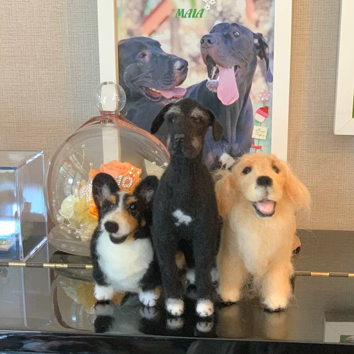 C5a1fe99 f470 4260 8f75 66e471d89fab 1552726570944