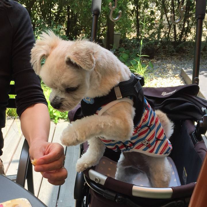 C5a225dc 41d4 4a00 9679 90bde907dd62 1527924962187