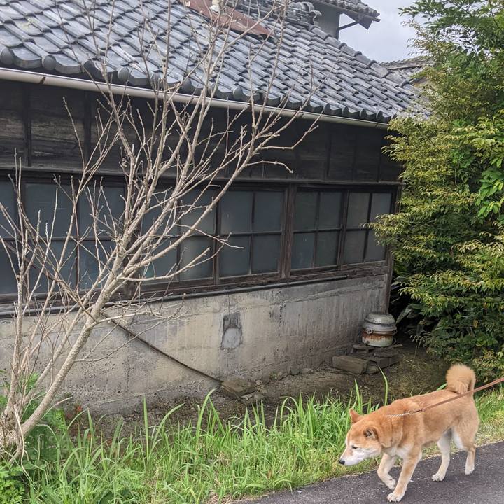 C5a22626 5224 43fb 9dd7 e568a05ec8b1 1715587322464