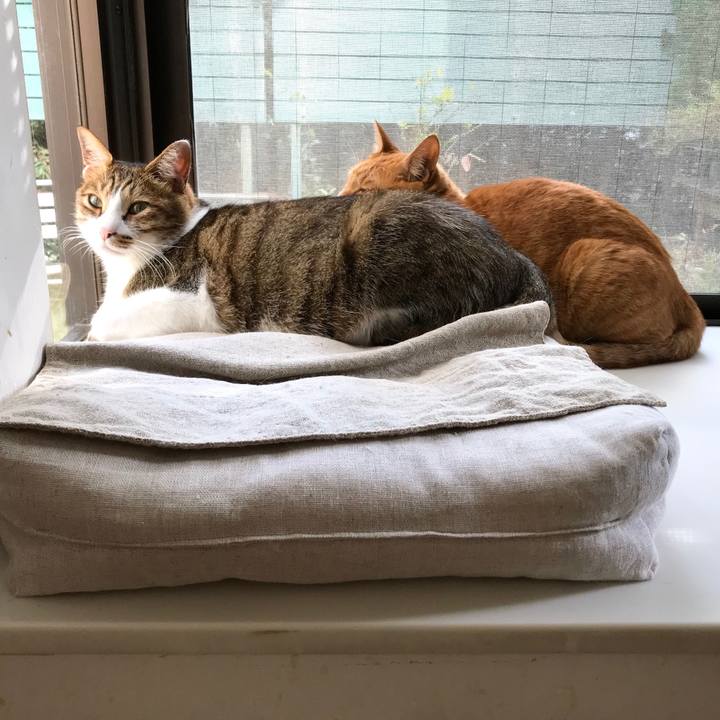 C5a25f93 686d 4143 9ce7 b795a23b535a 1510456524418