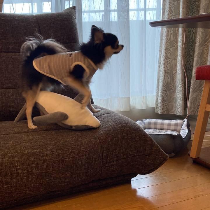 C5a26c07 3f0f 497d a64b 6d443a9d75d9 1717257397965