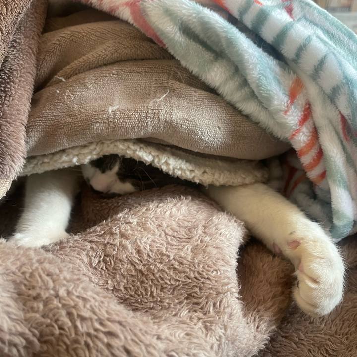 C5a2971f 9ea1 46f2 852c 33063aaa29ef 1739315326883