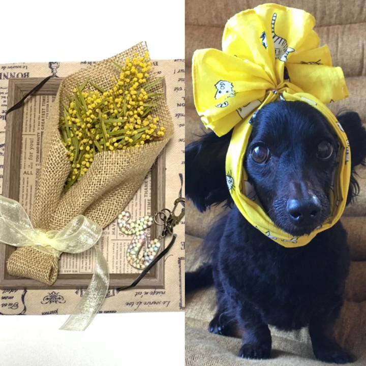 C5a2cc17 42c9 4aff ab1c 0b16bda11e32 1683931490739