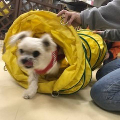 C5a3047f dbe9 4e2b 9be0 d2342f8143c1 1516185574990