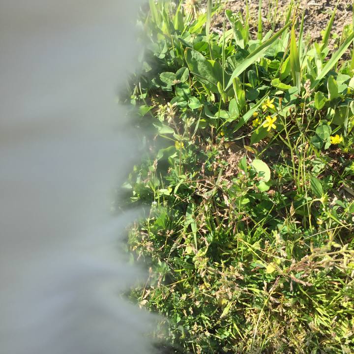 C5a3493f a24c 496b 83ae 950715393ecb 1588206438911