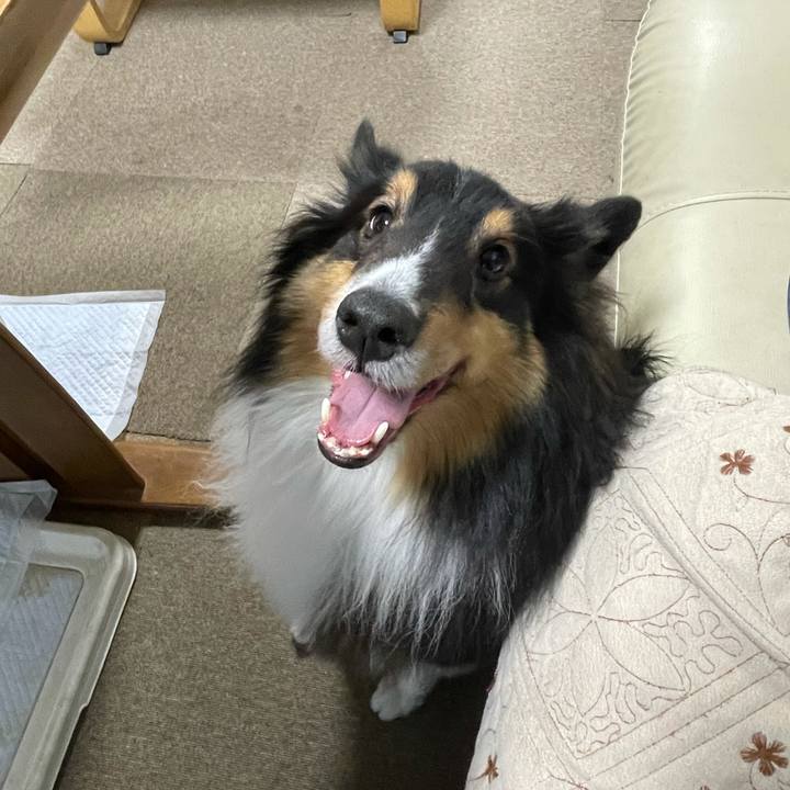 C5a3b43a b78b 4663 8076 33fa8ac692aa 1639345982869