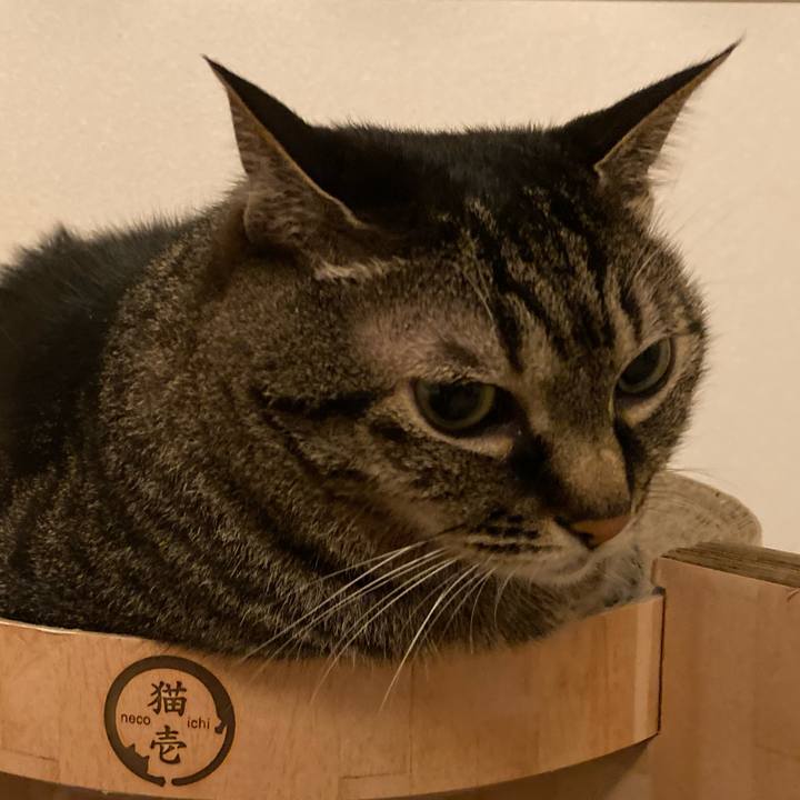 C5a3c0f8 dd22 4bcb 9609 33af89a9f4b0 1752361745186