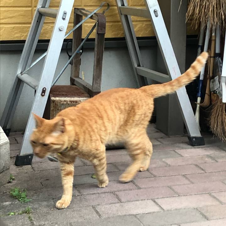 C5a3c3a8 40f1 471f 8fef 744389191946 1623309946389