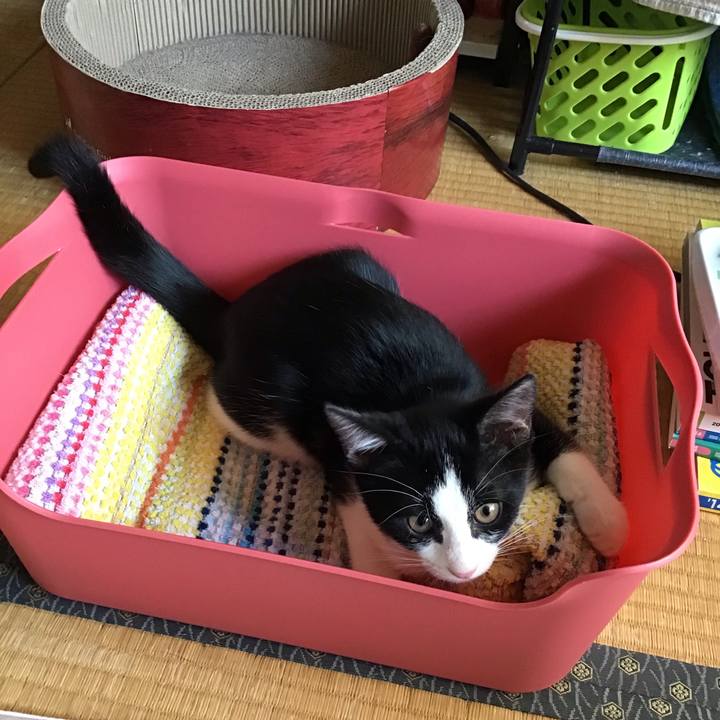 C5a3c509 634b 4dc6 9705 7a0e70271553 1626486730000