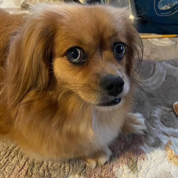 C5a3c818 b262 4ca0 b128 36a482809c79 1596059401181