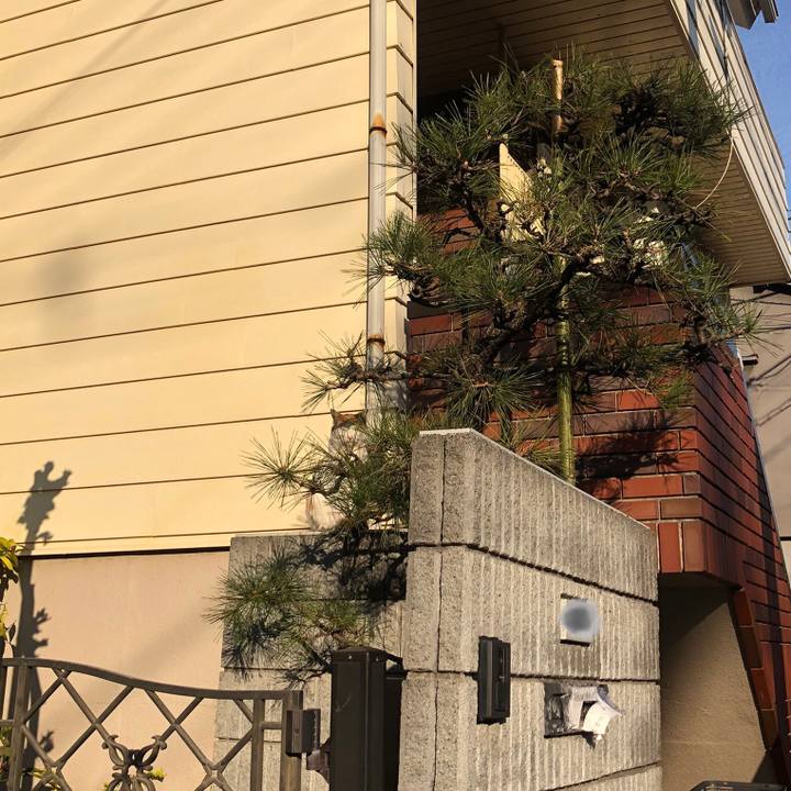 C5a3c9a4 f7fd 4629 87ca c7d4243e2f70 1643882225801