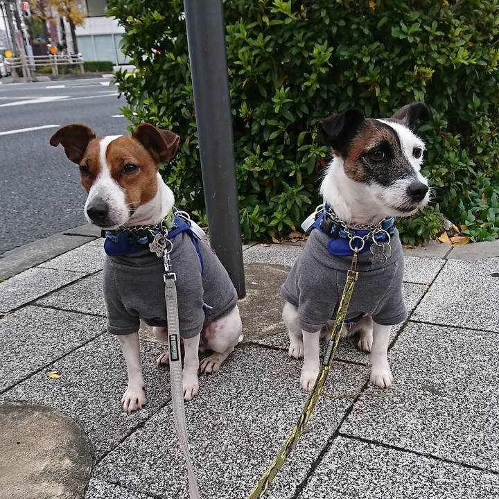 C5a3ce83 77ad 4388 93e8 a49f9e753799 1576968446748