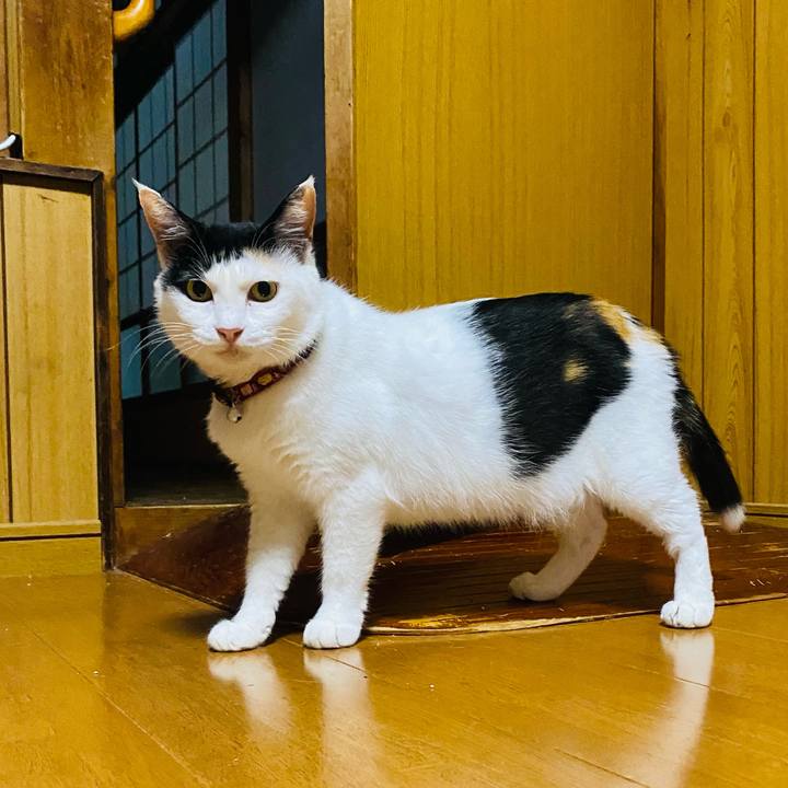 C5a3cfae 43ea 44d1 aaff 56f5ef1421ed 1656450105360