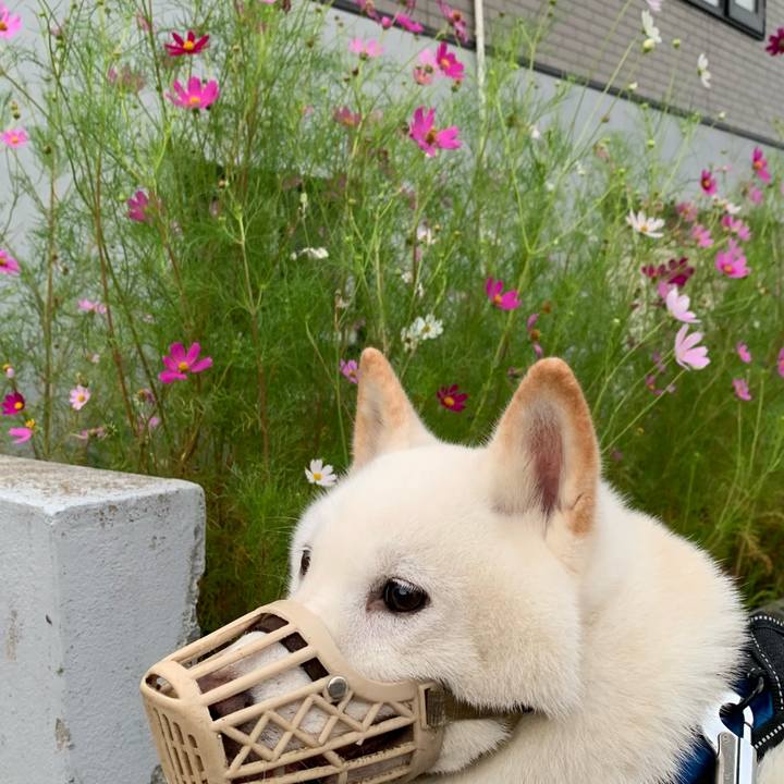 C5a3e581 9401 40cd 832d 81508c1e905d 1661636683553