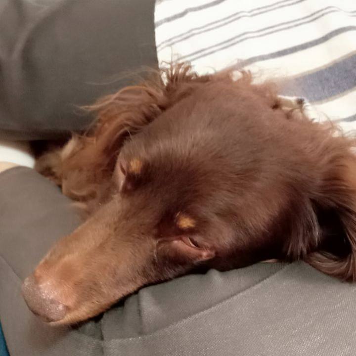 C5a3ef7a 3fc0 48fc b781 f6627ea66aa3 1757627388554