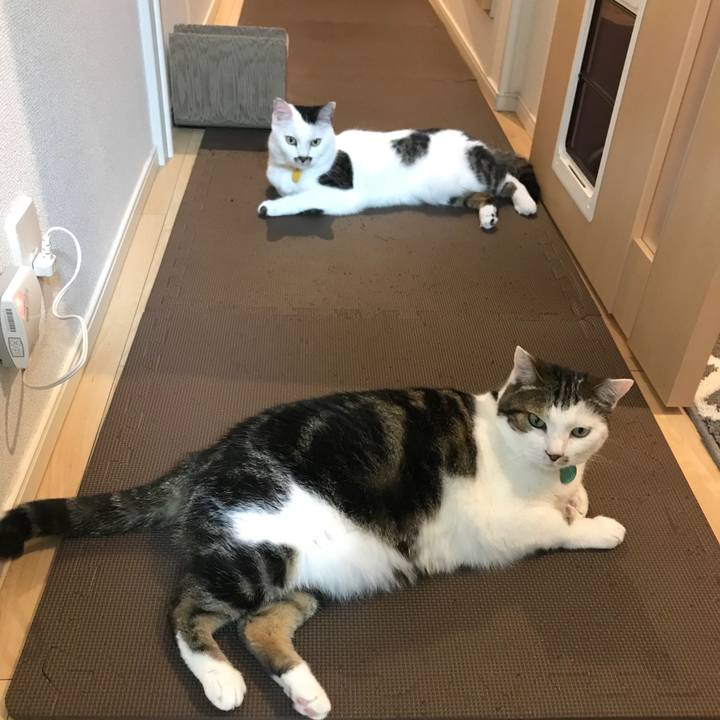 C5a4278d ea64 4551 a48b b7fc4240cc5c 1530187778471