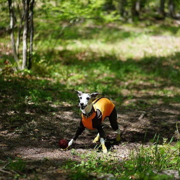 C5a42cfb debb 49fd 97c0 b8e6797c16eb 1527154188751