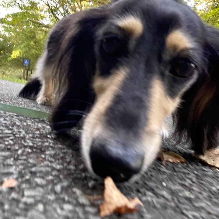 C5a48c62 96df 472f 8c87 f73edb8d5e09 1755930028511