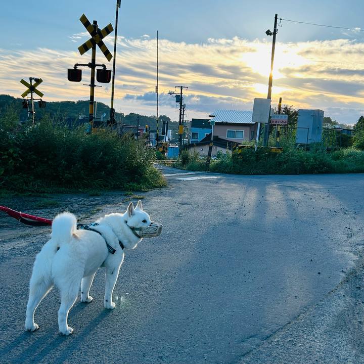 C5a4abd0 64e9 4f08 aaf1 dbb4a0f5e540 1695331985643