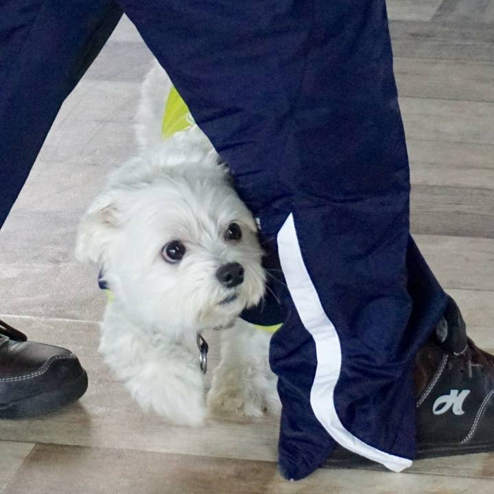 C5a4b1cf 96c3 4dc9 990b 5d637d87af37 1550360298013