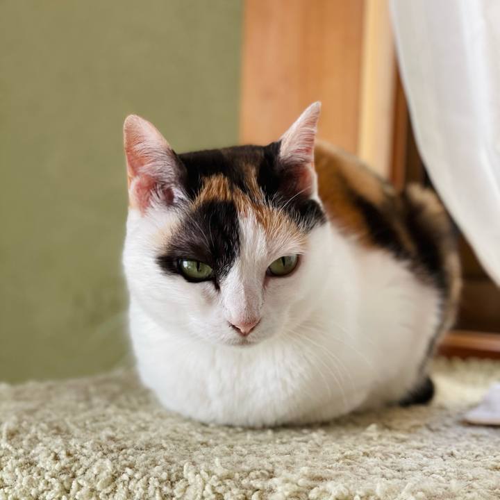 C5a4f366 2b58 4f70 8f80 116127132439 1656038923795