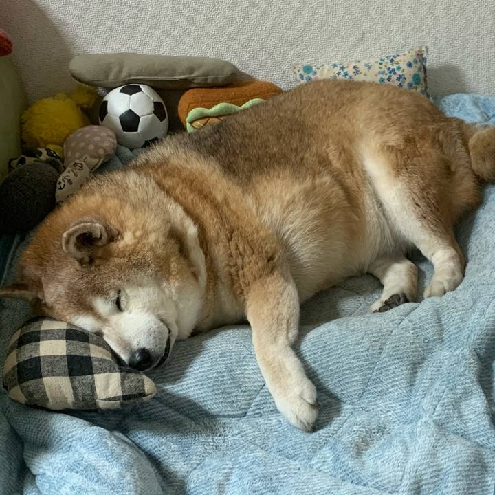 C5a4fea5 0b98 425d 8da0 a50e0264209d 1616313580216