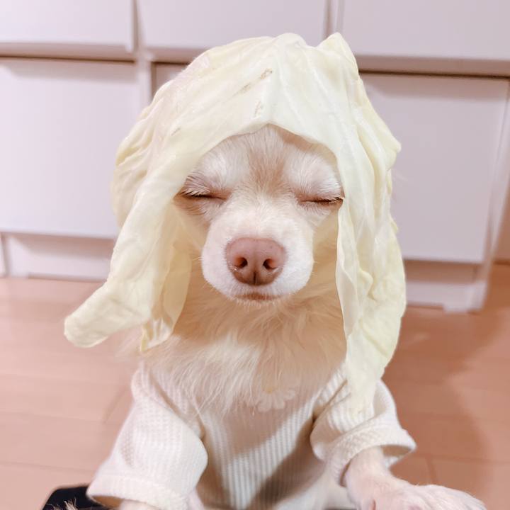 C5a55a73 c432 4dad a124 7205a9cd7366 1666610340612