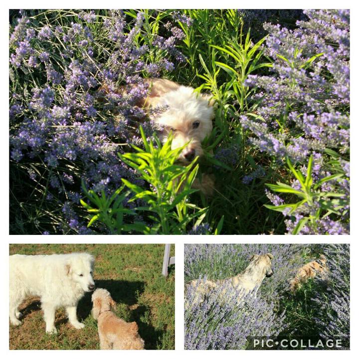 C5a55c73 410a 4121 a59d 466bbc250e91 1594241626092