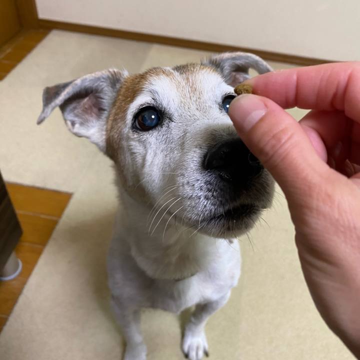 C5a57d60 773b 419c 957c 41e5178f16b8 1607465880516