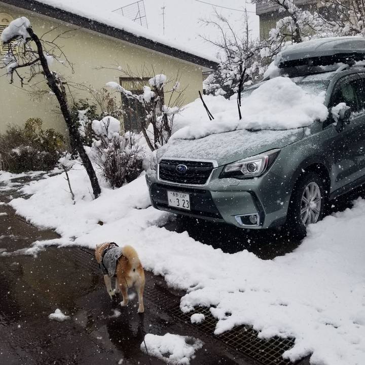 C5a58372 056b 4ab5 86b1 0beba1f2a860 1741317763716