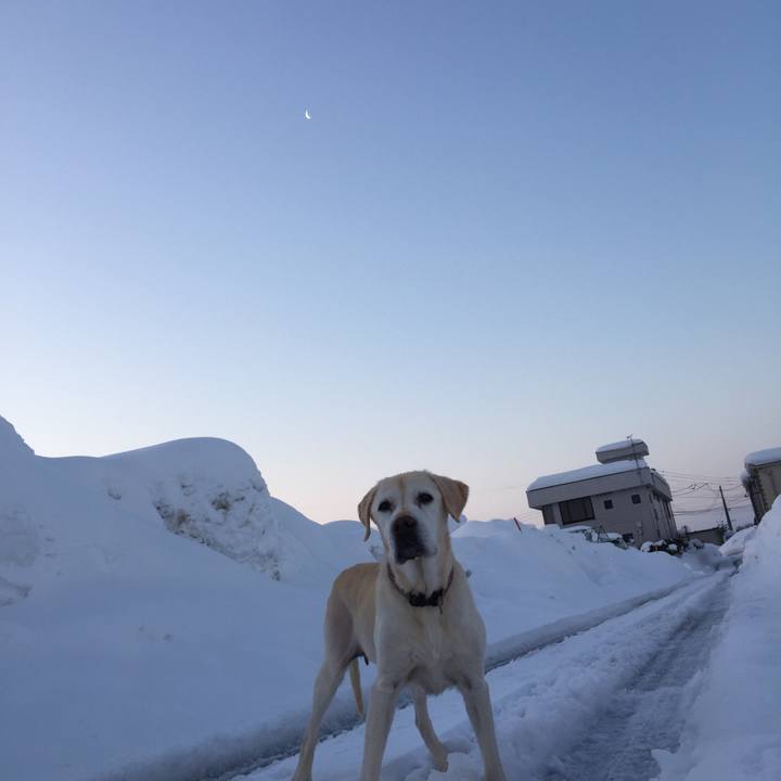 C5a5aa6a cef9 4c8c bfa0 45be407c8dbd 1518219279426