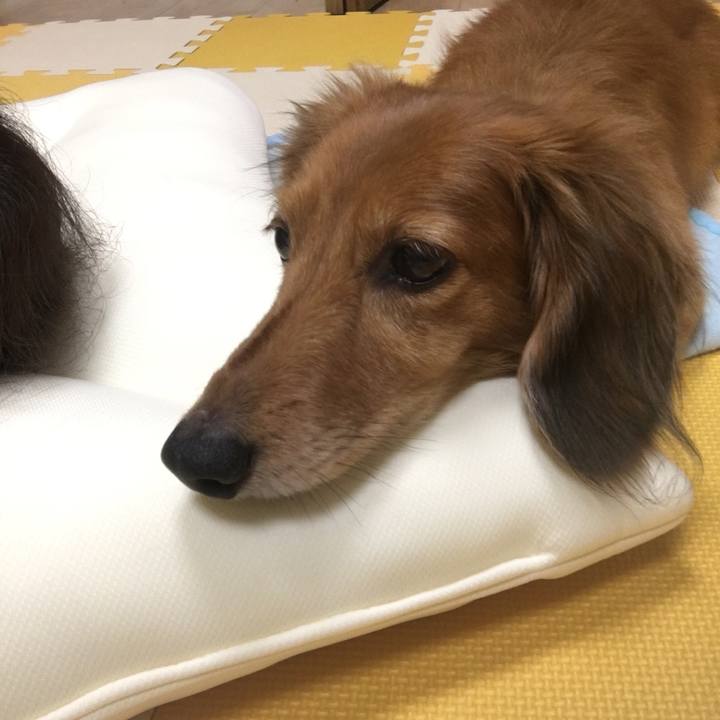 C5a5bf7c a2bb 41e1 9ac2 f2bf0d98cdd7 1539695381938