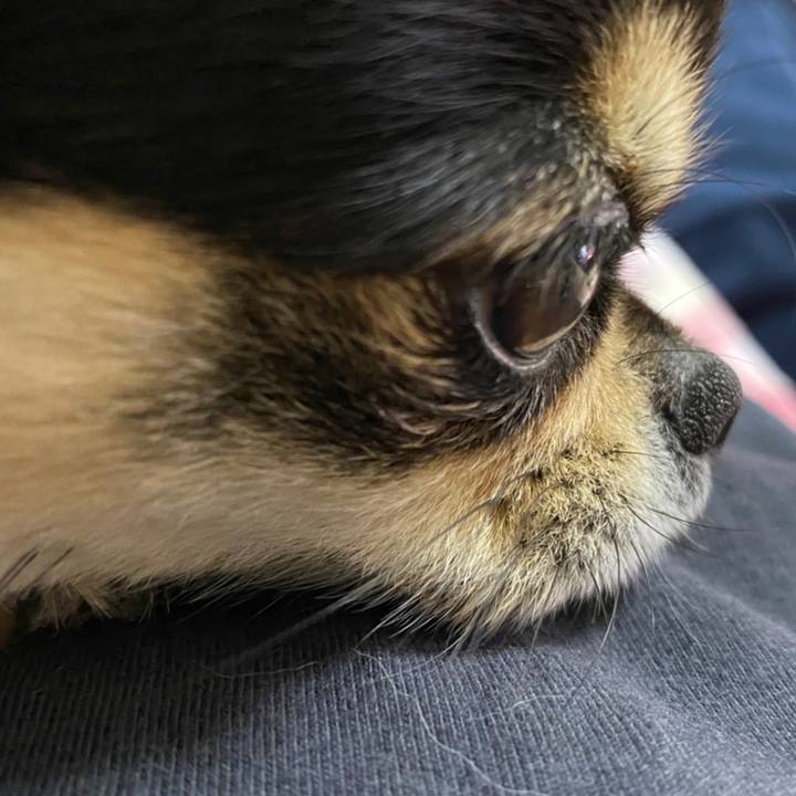 C5a5d12c c258 4564 911e 081519d2881f 1621816041570