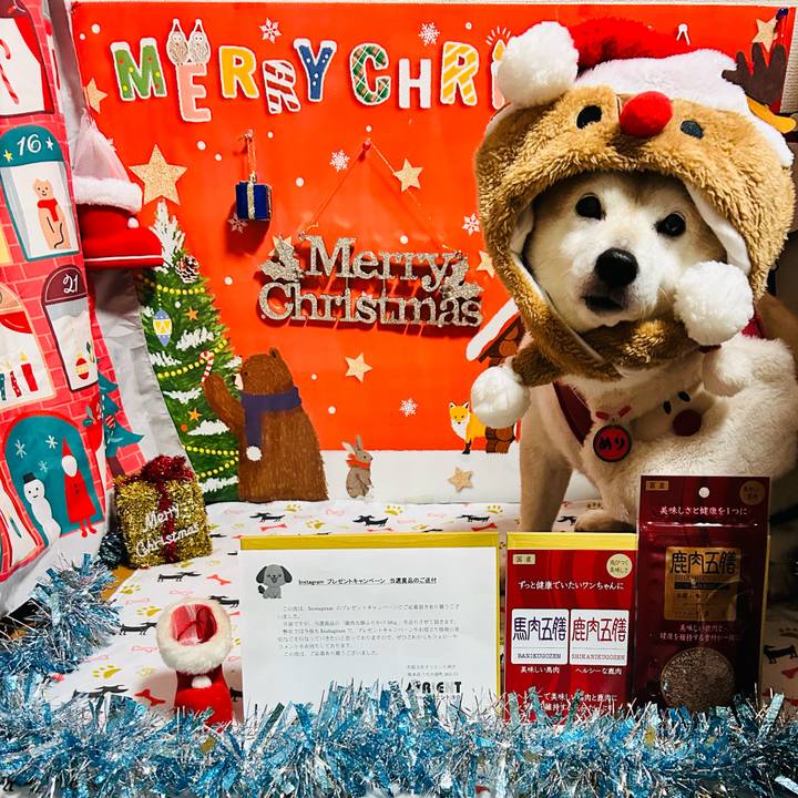 C5a61668 b5db 4476 bdcf 4ccb88494ee6 1733994046730