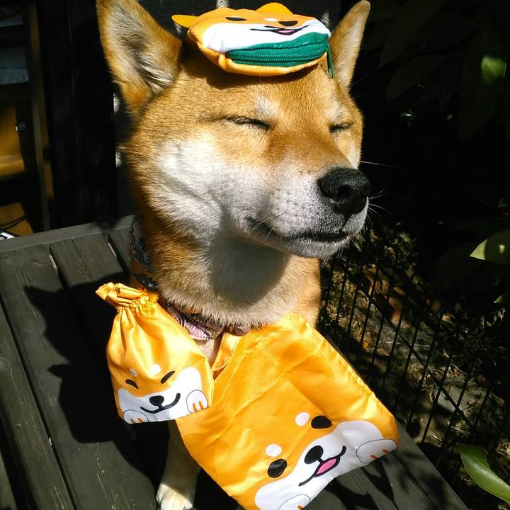 C5a626ae 5244 473e b8be 44751a60a432 1520996199481