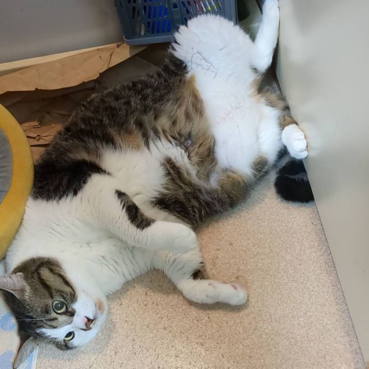 C5a63711 5046 4e21 b086 617ed113948b 1757862384368