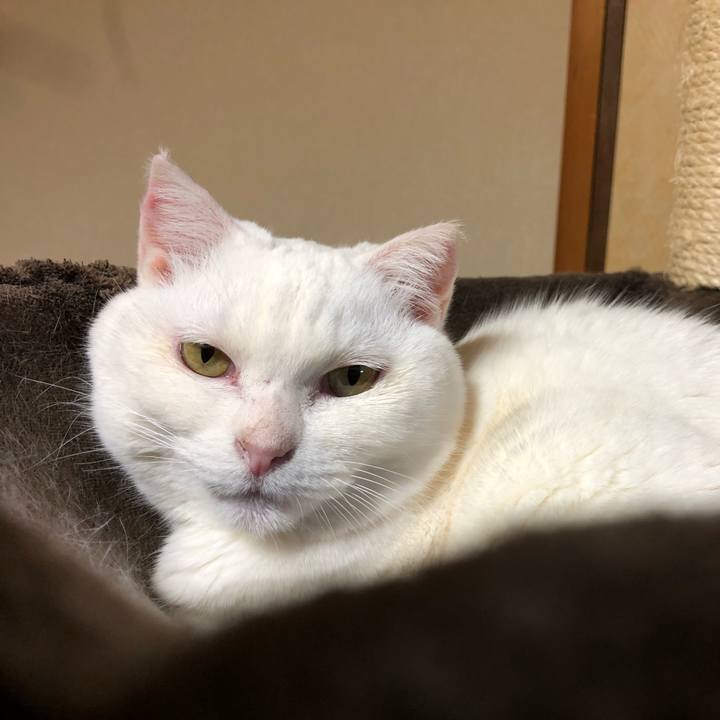 C5a649f7 8176 4d01 b020 a32fb7543868 1551849123274