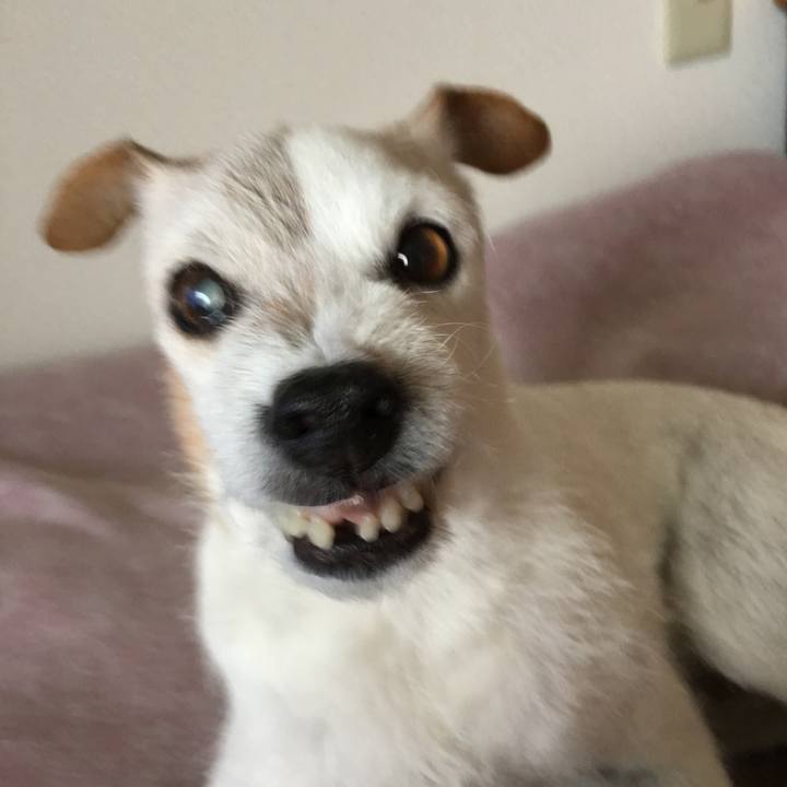 C5a684e6 89fa 4a5e a769 9485fcac2245 1508660804681