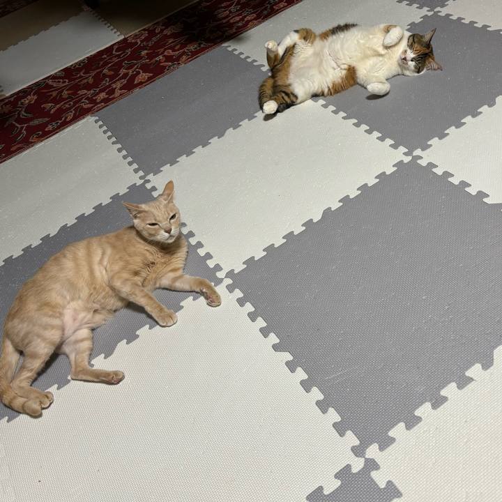 C5a6ab54 7045 458f ba1a aecd08595888 1716374587234