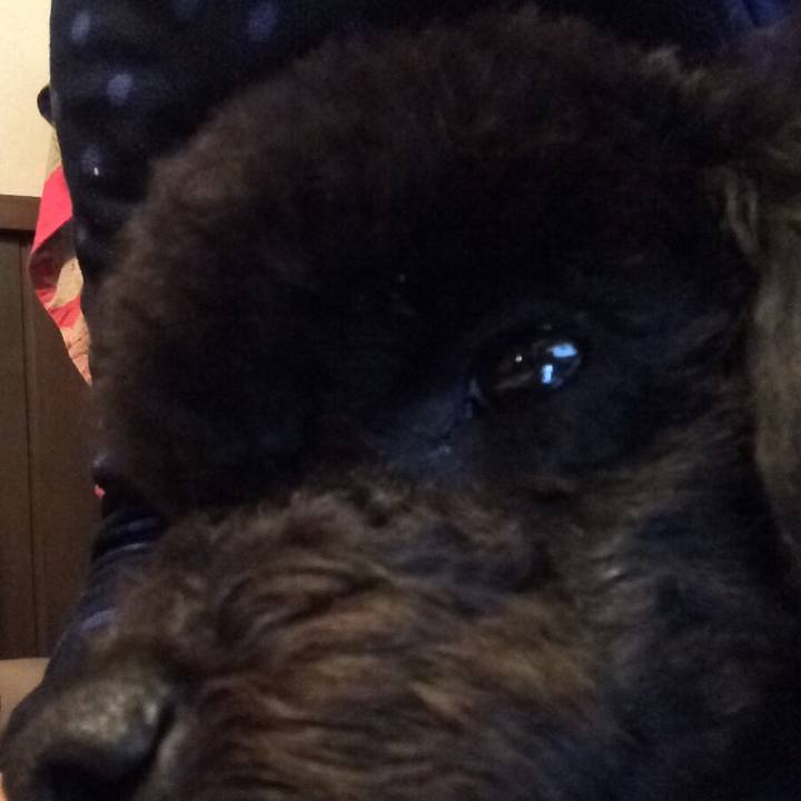 C5a6d45f abd0 458d 8815 1d8491fd4aa7 1520308976965