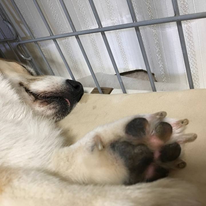 C5a6e47a a68f 486b aa0e 9262a79543d5 1527087399245