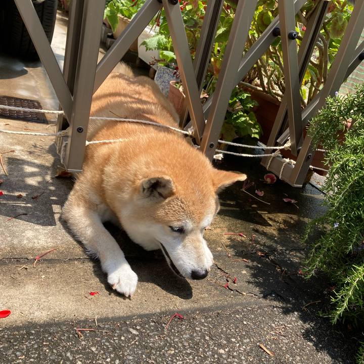 C5a6faf2 1931 4d25 9d28 ddab86559760 1624437878407