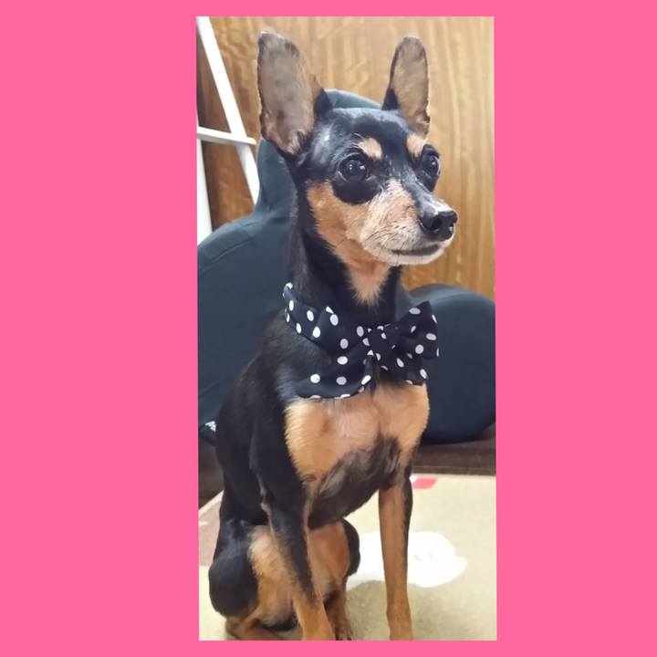 C5a6ff68 a7a8 4b19 a2a3 32b48c9d181c 1771053280975