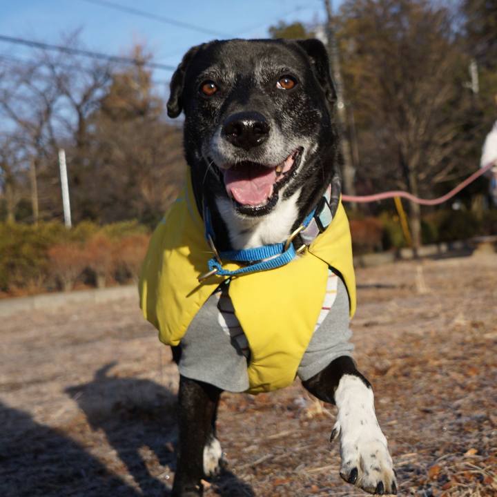 C5a71f4c 8b22 4902 b6bb eb32862802bc 1770686644841