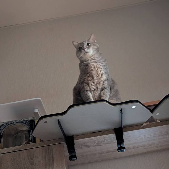 C5a74a01 9168 47ba a91c b38f1c693823 1771148755072