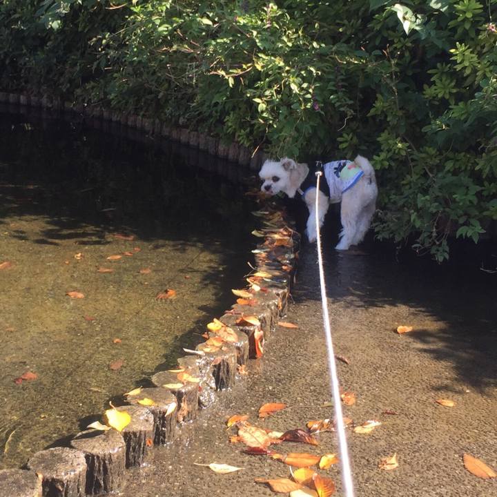 C5a79d43 89bb 4579 90c8 4c352fc1d0a7 1540206096976